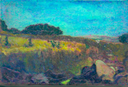 A wheat field at Tidmit