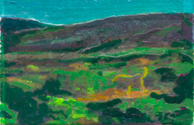 Berberian dog in a field