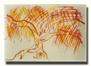 Arbre rouge, encre sur papier, 19x27cm